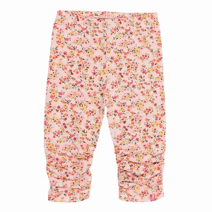 Legging Fleurs Coccinelle  2 à 8 ans