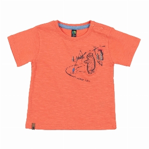 T-Shirt Air Frais Ours 6 à 24 mois