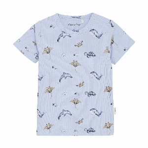 T-Shirt Imprimé   3 à 24 mois