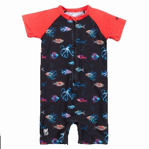 Maillot 1 Pce - Marin   2 à 3 ans