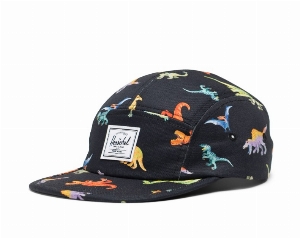 Casquette ''Glendale'' - Dinos